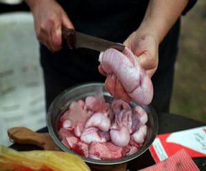serbia's animal testicles food fest