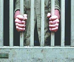 old parents insult send son jail.