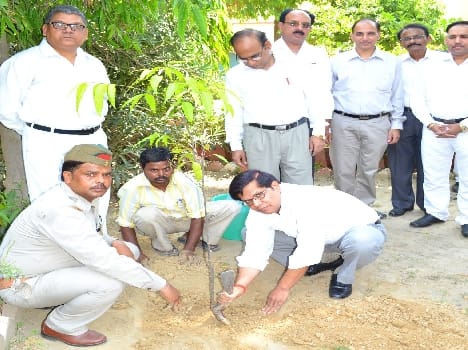 The judicial authorities plantation