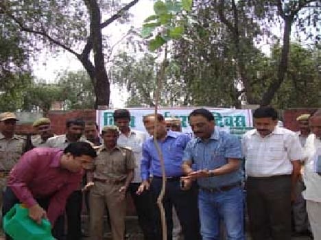 The greenery in sterile green belt plan