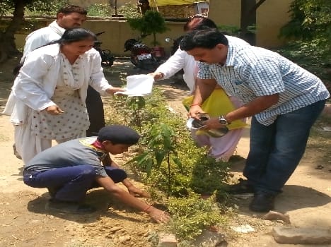 World Environment Day has been on planting
