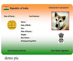 put the dogs photo on aadhar card