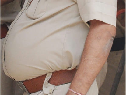 how  these cop catch rogues