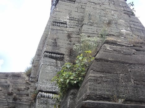 Almora grass grown on the Nanda Devi temple.
