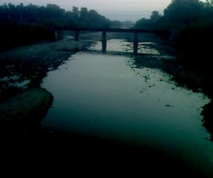new born baby deadbody found near beas.