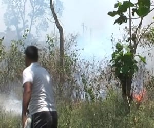 forest task force control on fire.