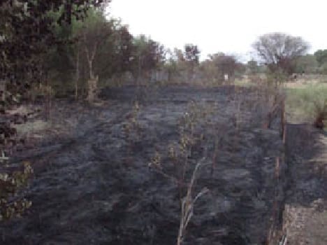 Fire brigade personnel engaged for hours to extinguish the fire