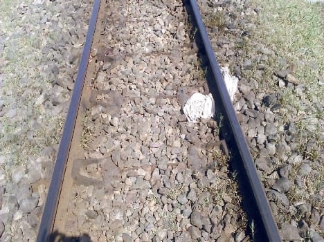 The young man got on track The mutilated body