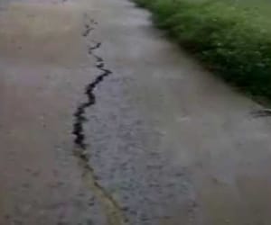 nepal earthquake effect in bihar.