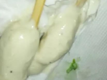 Insects in Kulfee in Lucknow.