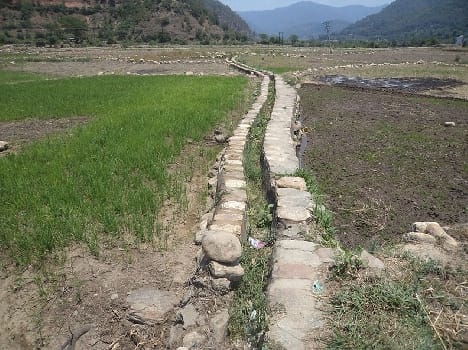 Not even water destined for rice nursery