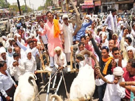  Sought water for dry fields, the jam path
