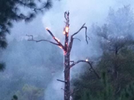 forest fire has raged along line of control in balakote sector