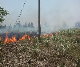 House fire in the ashes of thousands of property