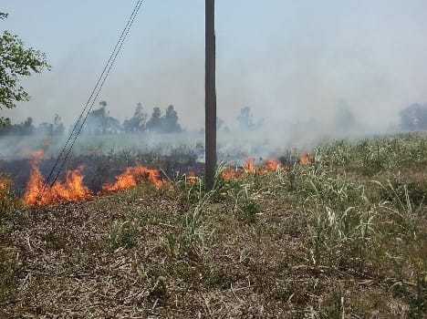 Kukra and 59 homes burned by fire in Krehta