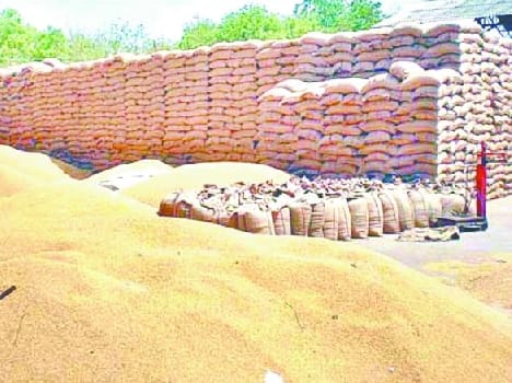 Crop insurance will receive 12.23 million