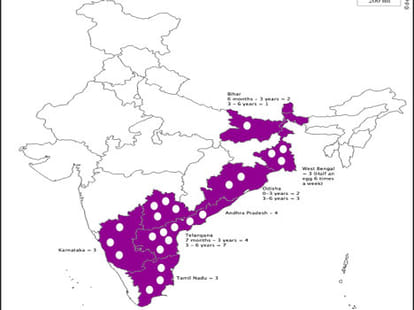 egg politics in india