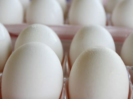 egg politics in india