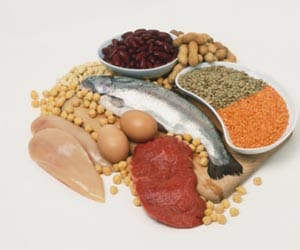 protein and vegetable diet weight loss