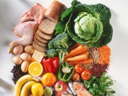 The Benefits of Protein