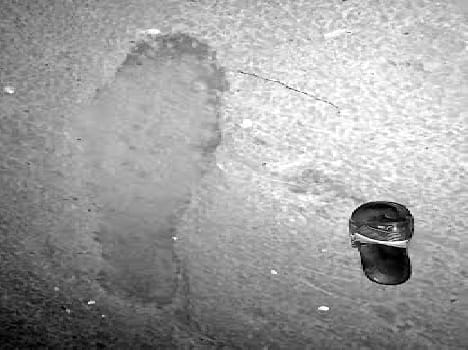 misterious sign has been seen by scientist in mathura