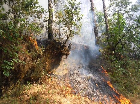 Bike riders masked men took wildfire