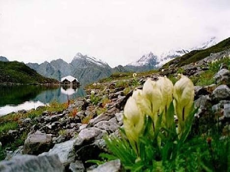 Incalculable beauty unmatched perturbations on