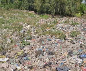 fuel from waste and leafs.