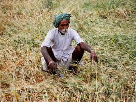 Debt collection from farmers