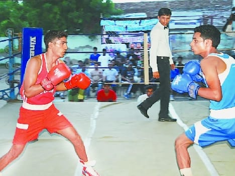 Ahmed Fighters boxers dominate