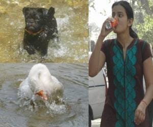 news about hot weather in jammu kahmir