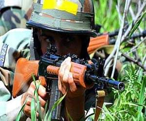 Encounter in Kupwara, three militants killed.