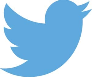 two website are active on twitter against ill accounts