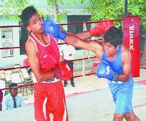 state level boxing championship in haryana