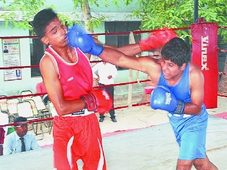 Royal champion in boxing Rajpur