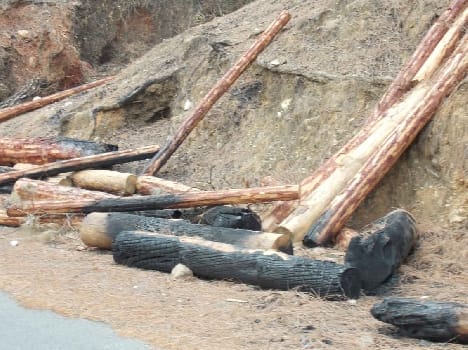 Now faced pine wood