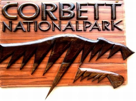 Corbett Park Night stay closed for today