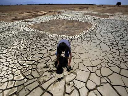 Drought in Uttar Pradesh.