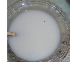 Insects in health drink.
