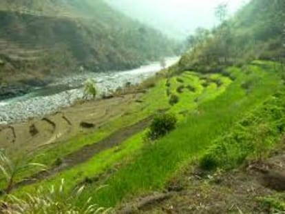 land mafia active in region of kishau dam project sirmour.