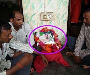 dog's funeral like humans in up