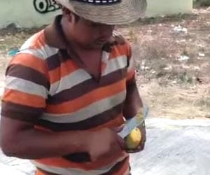 way to cut the mango in flower shape