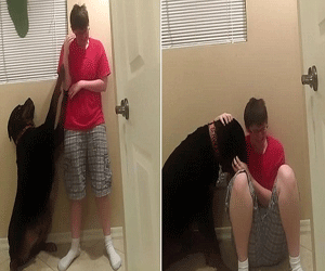dog saves owners life