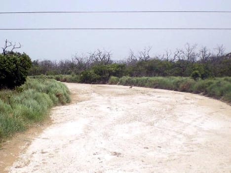 Lifeline of Dudhwa dried river Suheli