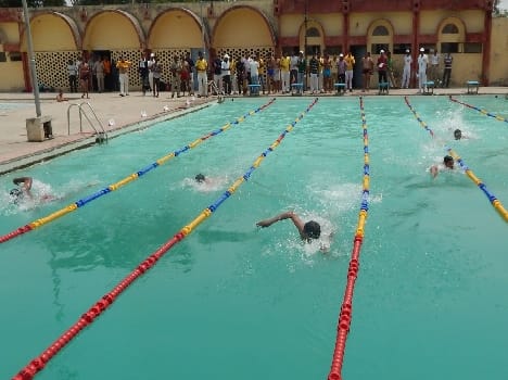 Agra dominated freestyle swimming