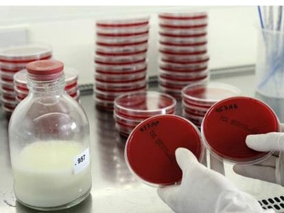 Your milk is not nourishing, Amule and Mother Dairy samples Faill