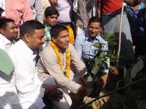 plantation