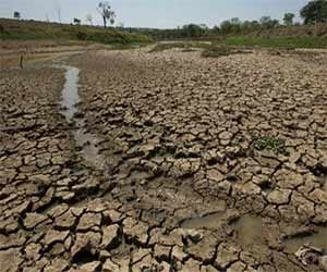earth extinction phase