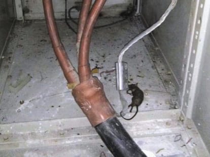 power cut in more than 30 villages due to rat