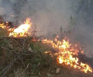 massive fire in forest at rajouri